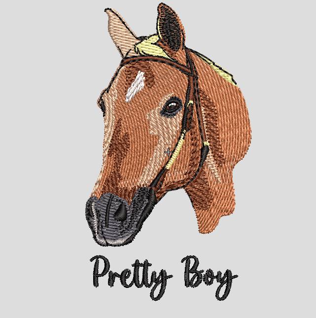 Custom Pets / People Portrait Embroidery Files - Digital Only